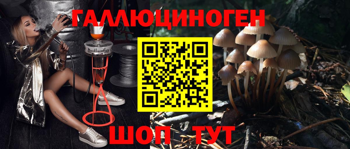 Псилоцибиновые грибы Magic Shrooms Кирово-Чепецк